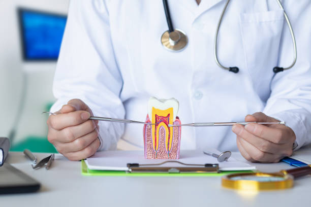 Best Weekend Emergency Dentist in Guerneville, CA